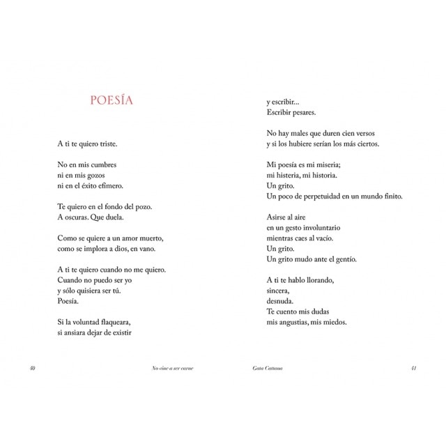 No vine a ser carne(Tapa blanda) 5