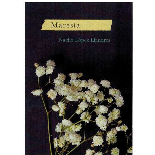 Imagem 0 de MARESÍA (Capa mole com abas)