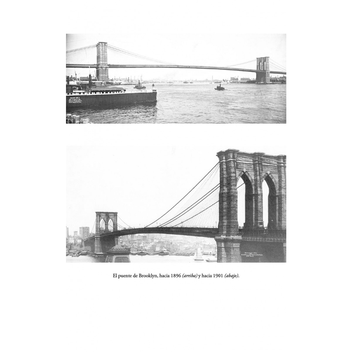 El puente (Bolsillo) (Tapa blanda) 4