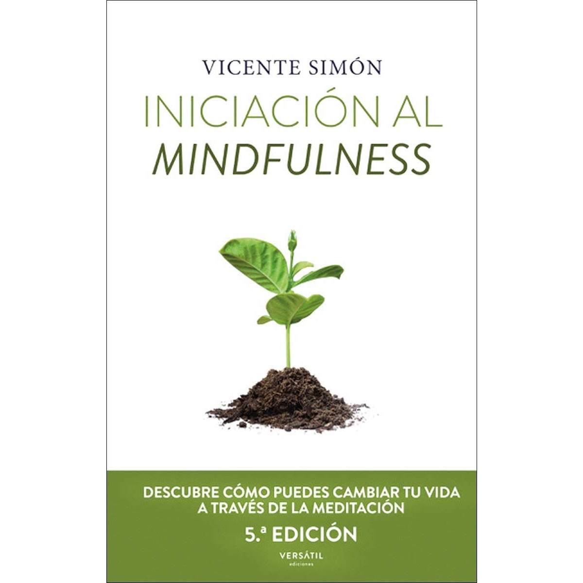 Imagem 0 de Iniciacón al mindfulness