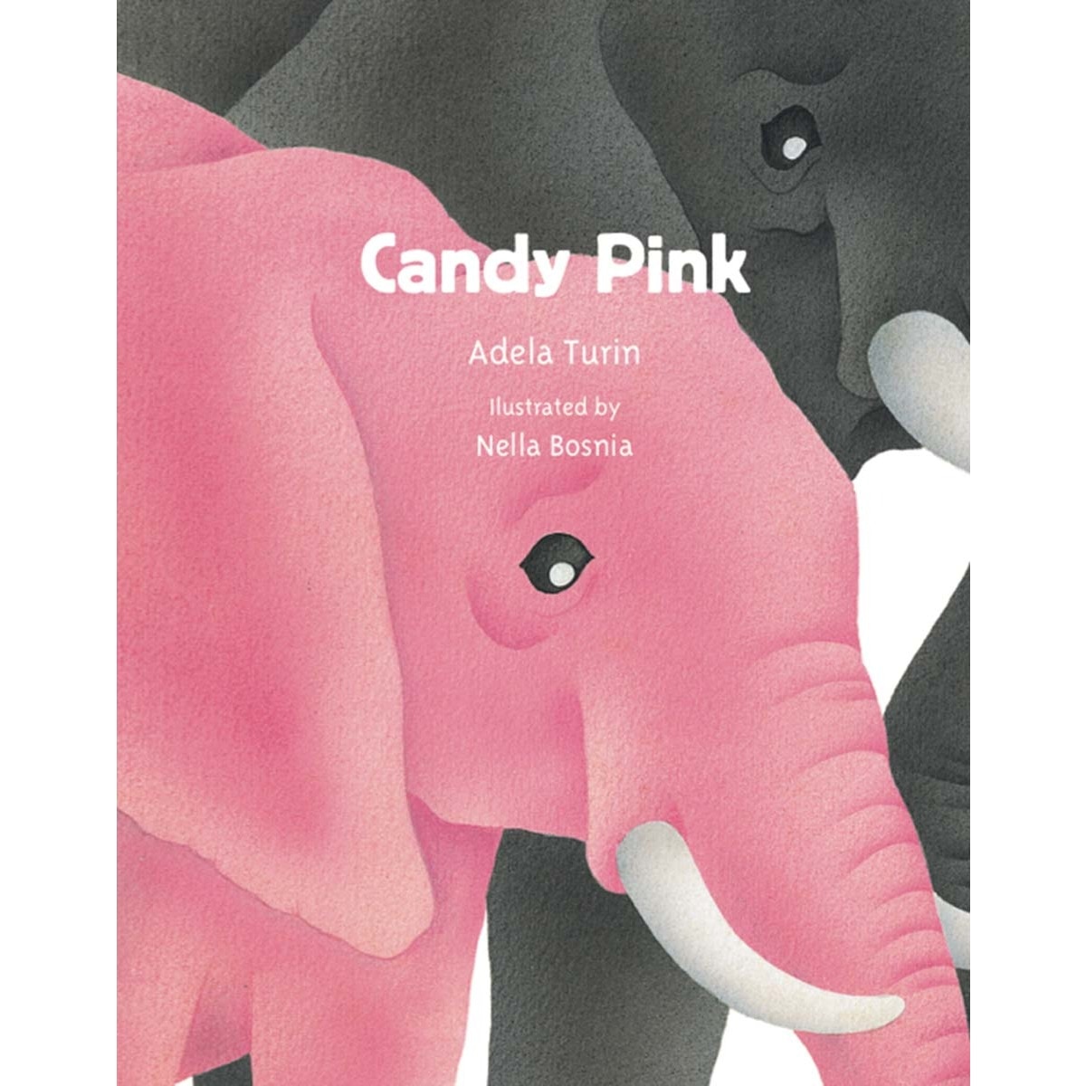 Imagem 0 de Candy Pink (Capa dura)