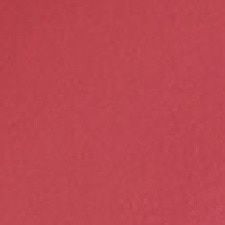 420 - REBELLIOUS ROSE