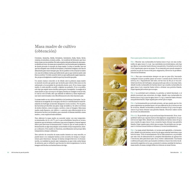 100 recetas de pan de pueblo: Ideas y trucos para hacer en casa panes de toda España  (Tapa blanda) 3