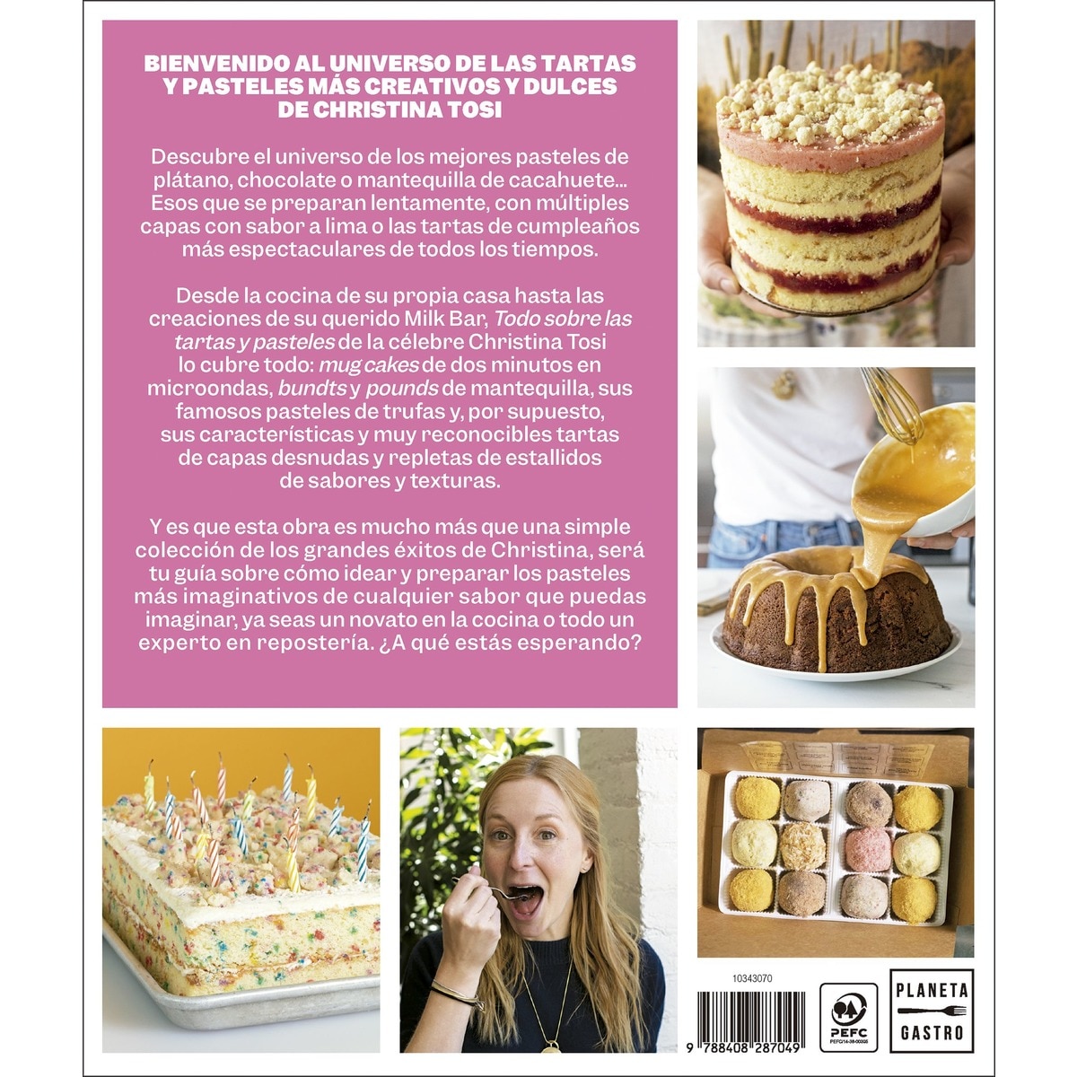 Todo sobre las tartas y pasteles (Capa mole com abas) 2
