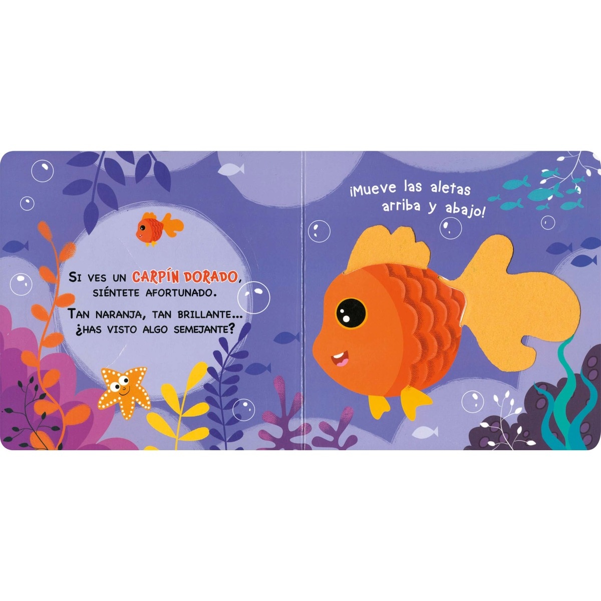 Amigos del mar (Capa dura) 2