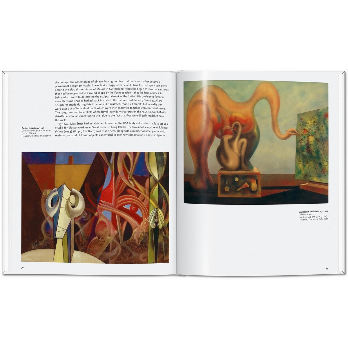 Max Ernst (Capa dura) 3