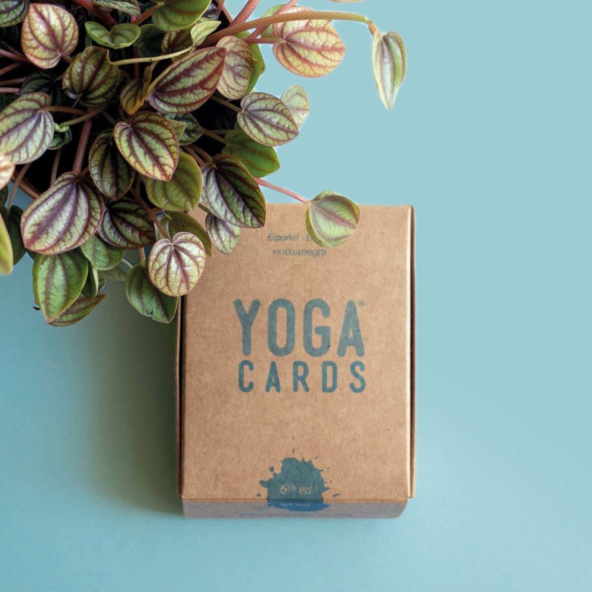 Imagem 0 de Yoga Cards (7ª edición) (Capa dura)