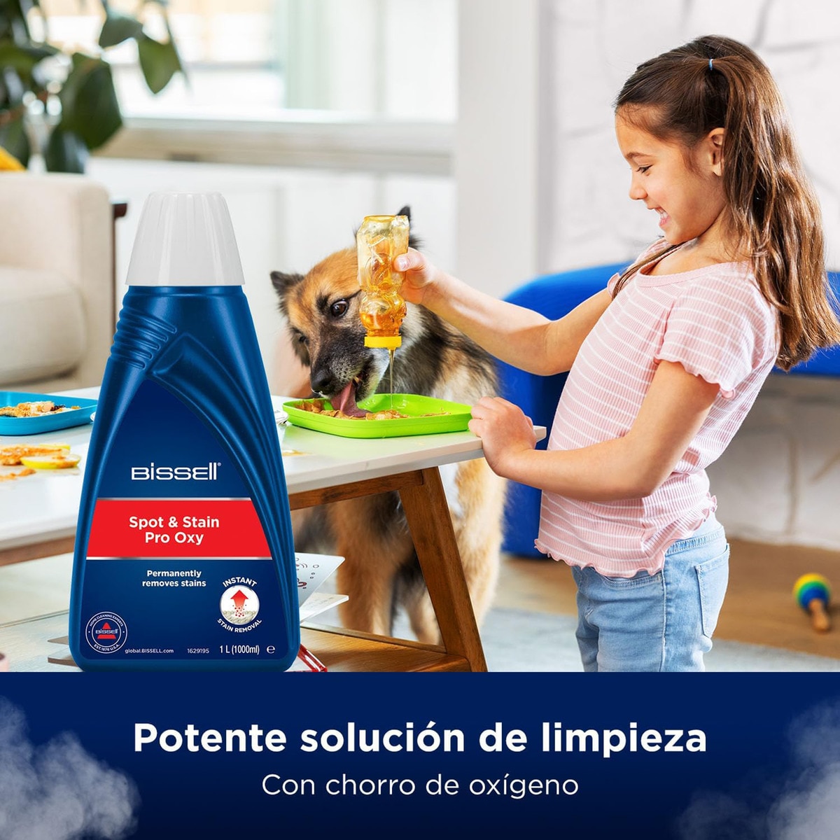 Aspirador quitamanchas para tapicerías HydroSteam Pro 3700N 6