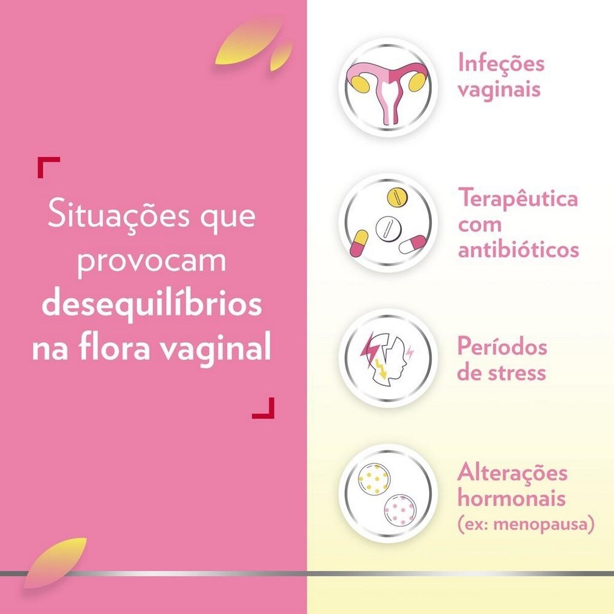 Suplemento Alimentar GineCanesflor+ - 30 Cápsulas 4