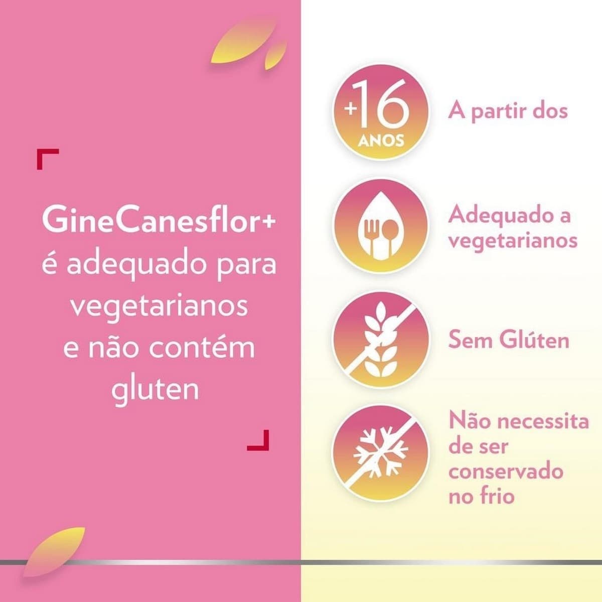 Suplemento Alimentar GineCanesflor+ - 30 Cápsulas 3