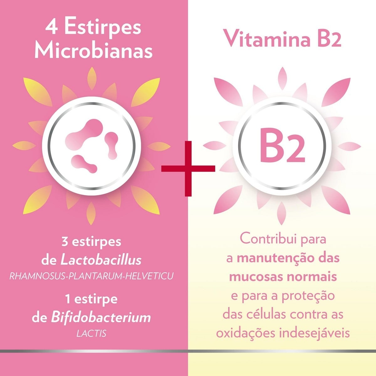 Suplemento Alimentar GineCanesflor+ - 30 Cápsulas 2