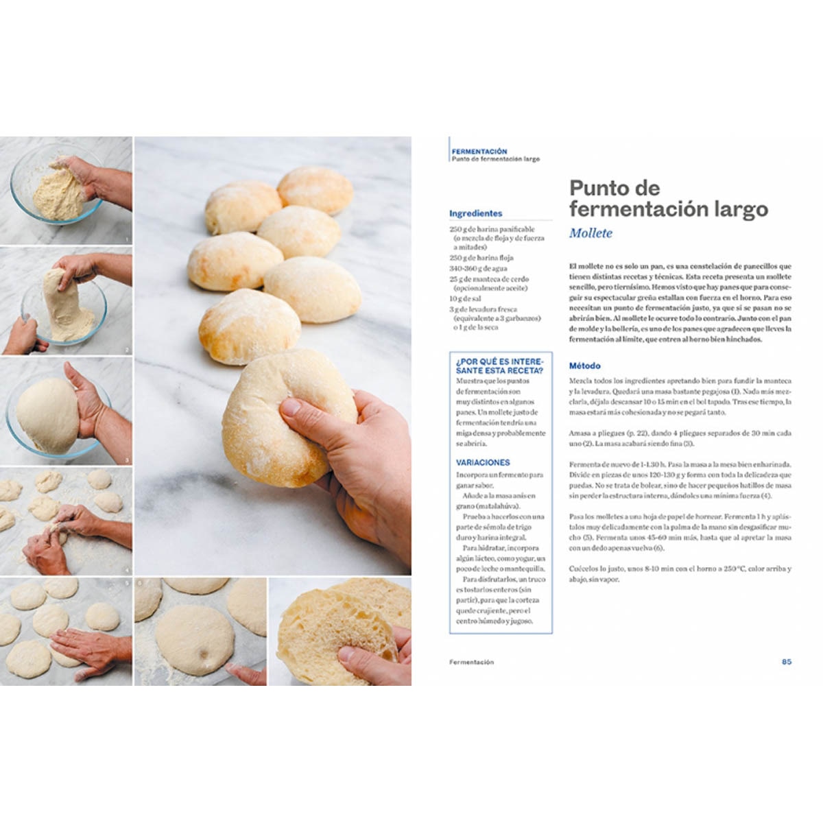 Pan paso a paso: Un curso de pan para aprender de forma fácil todas las técnicas, recetas y trucos (Tapa blanda) 6