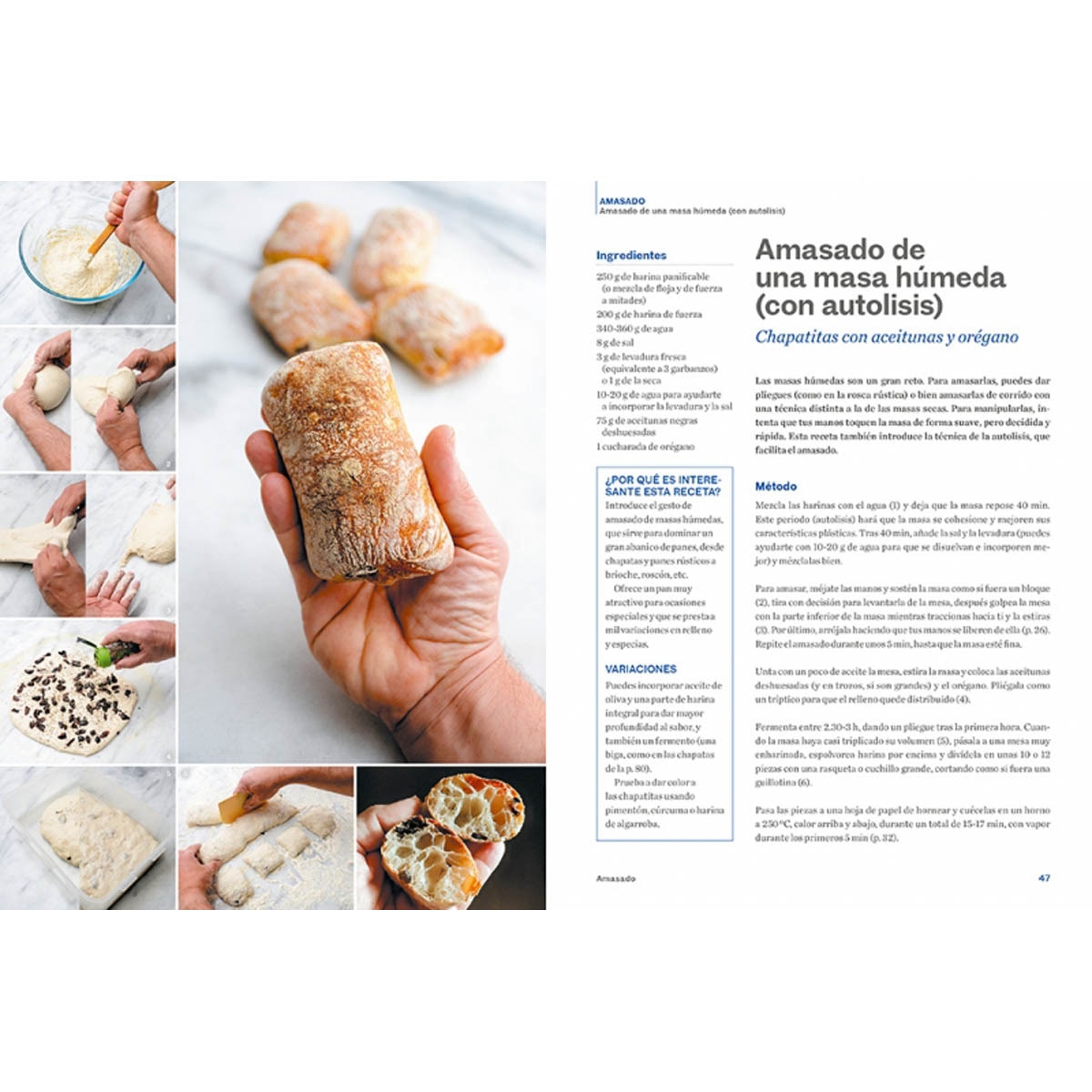 Pan paso a paso: Un curso de pan para aprender de forma fácil todas las técnicas, recetas y trucos (Tapa blanda) 5