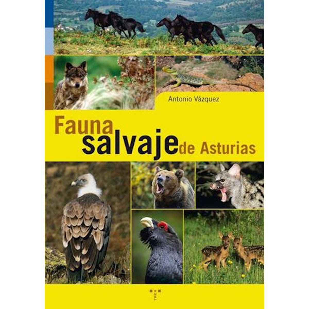 Fauna salvaje de Asturias (Capa mole) 1