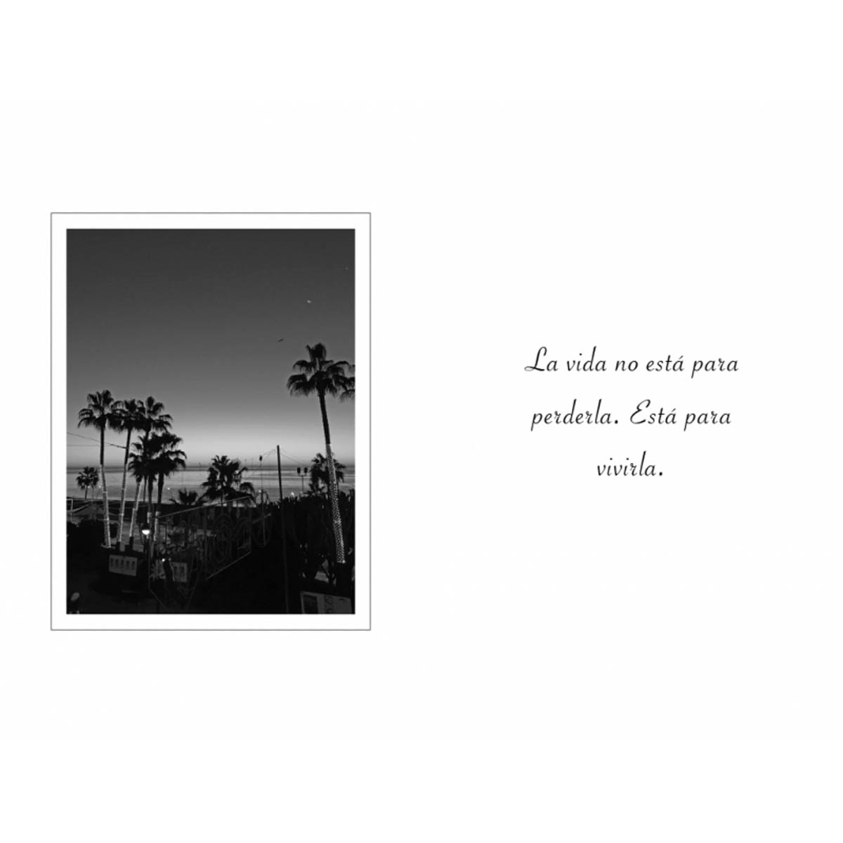 Lo mejor está por vivir (Tapa blanda) 4