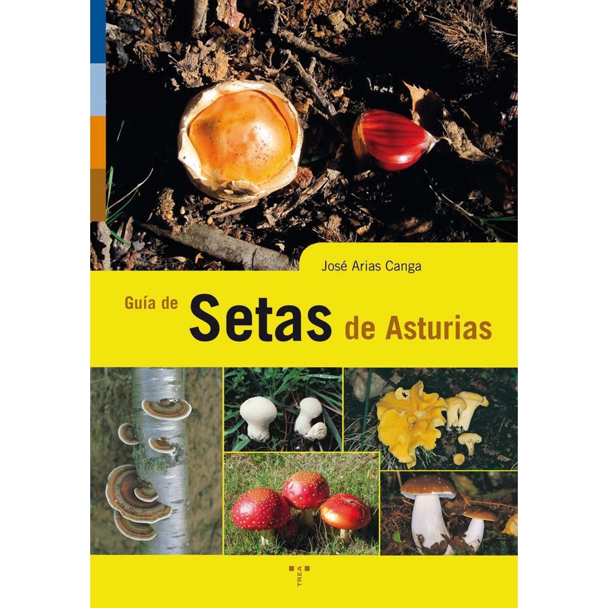 Imagem 0 de Guía de setas de Asturias (Capa mole com abas)
