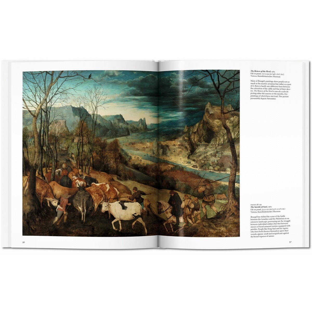 Bruegel (Capa dura) 4
