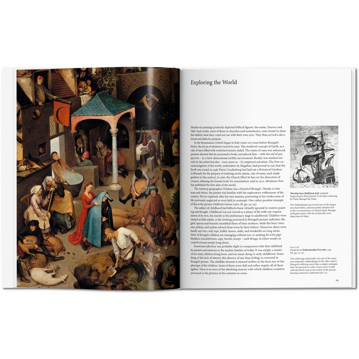 Bruegel (Capa dura) 5