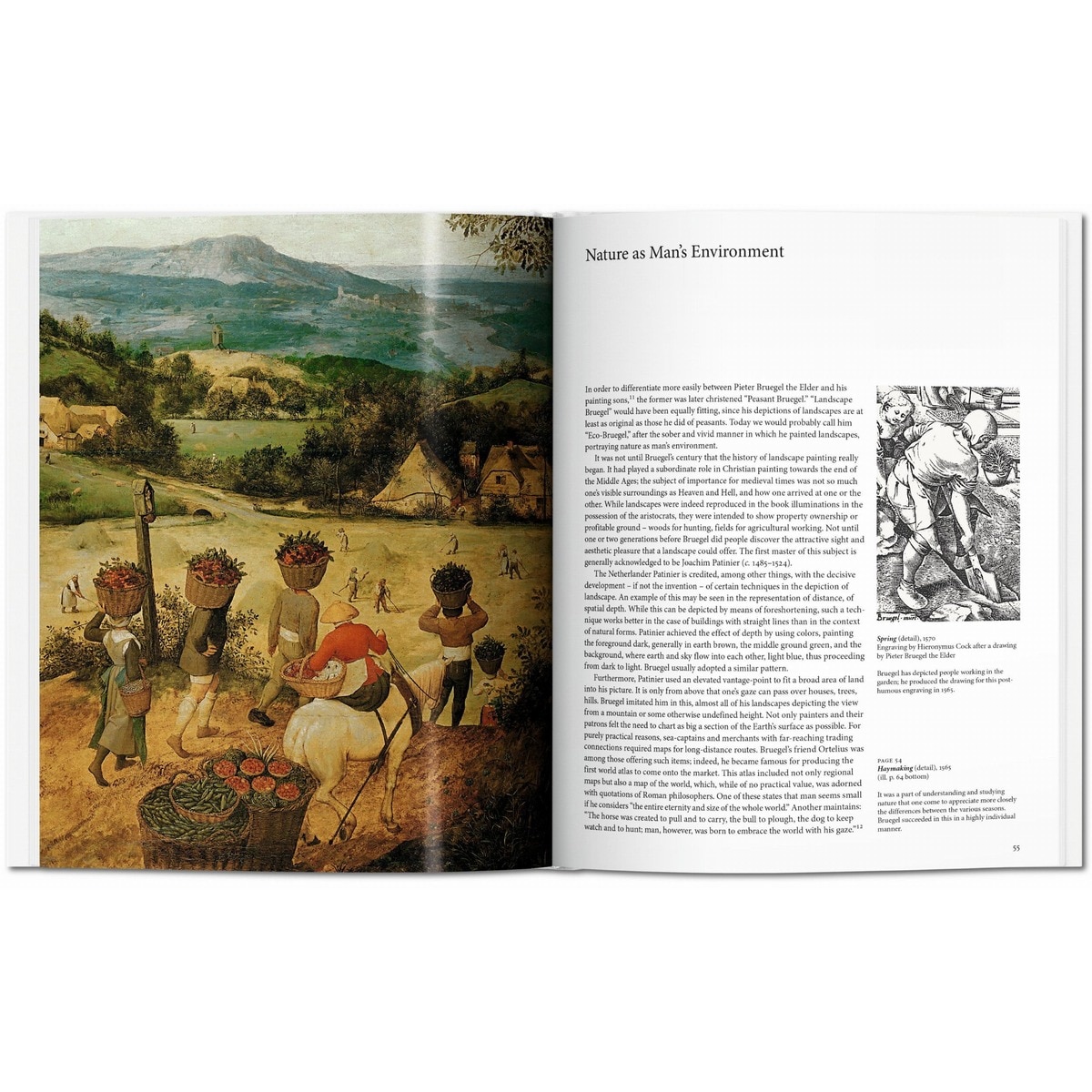 Bruegel (Capa dura) 6