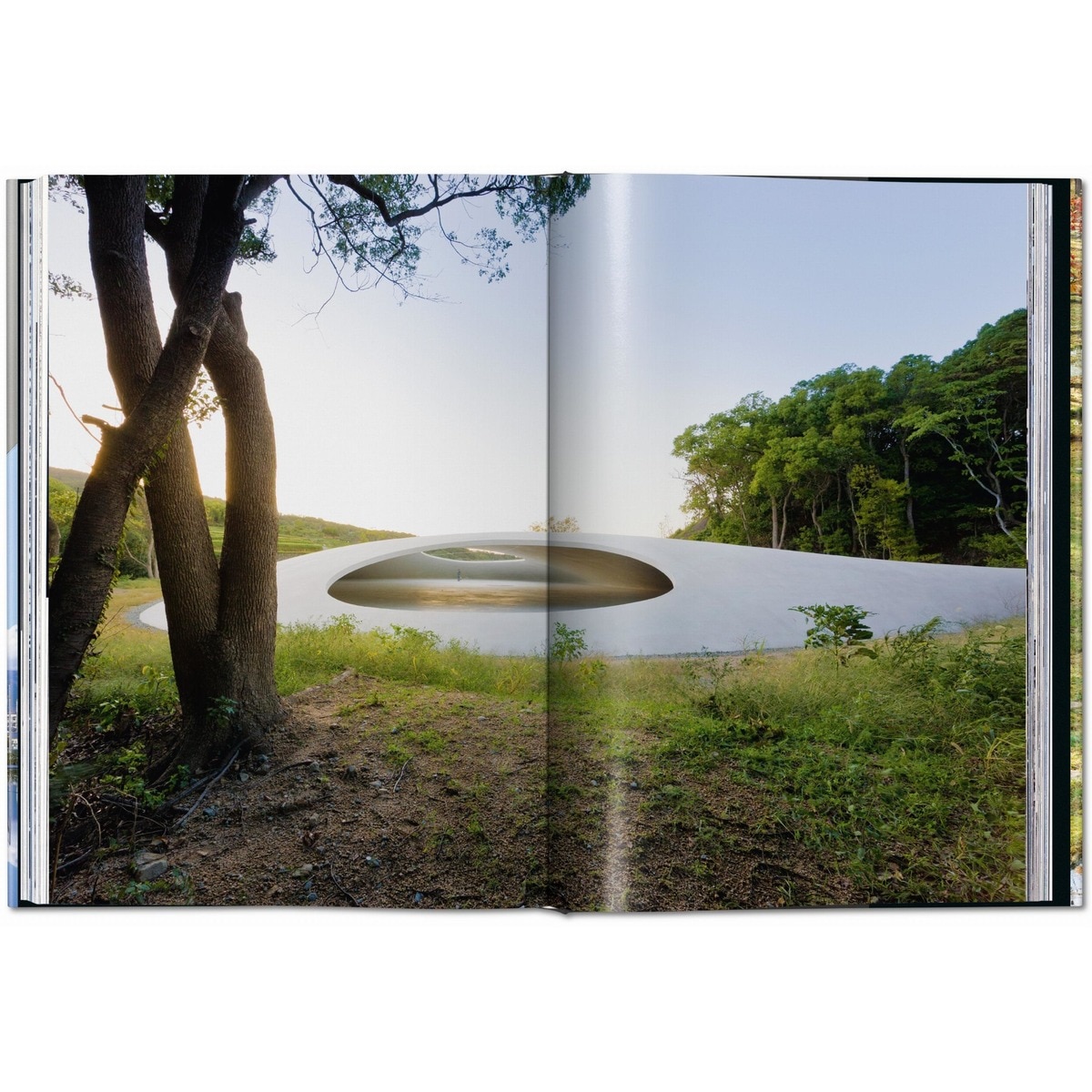 Contemporary Japanese Architecture (Capa dura) 8