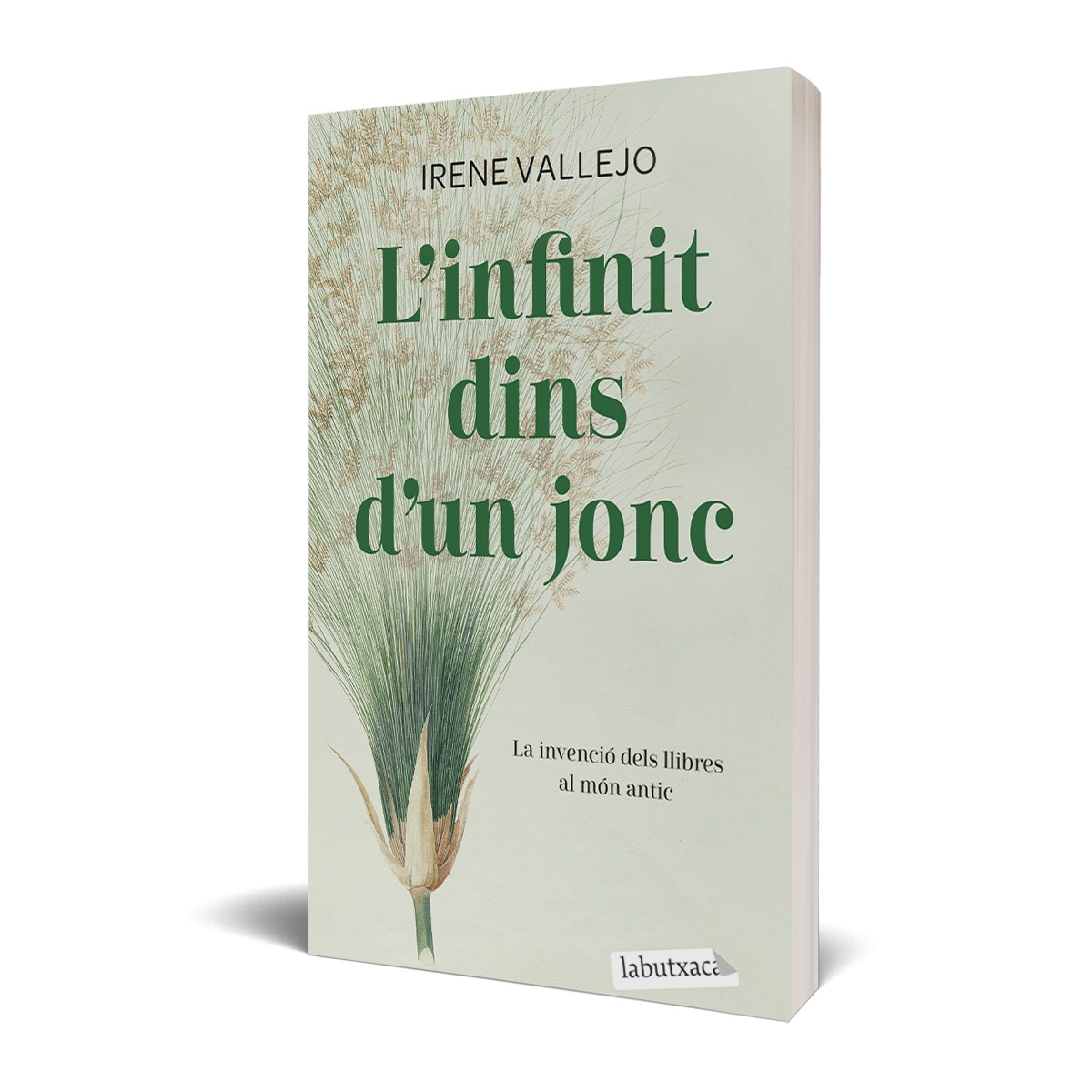 Imagem 0 de L'infinit dins d'un jonc: La invenció dels llibres al món antic(Bolsillo) (Tapa blanda)
