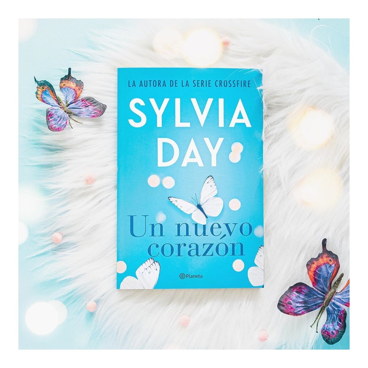 Un nuevo corazón (Capa mole com abas) 2