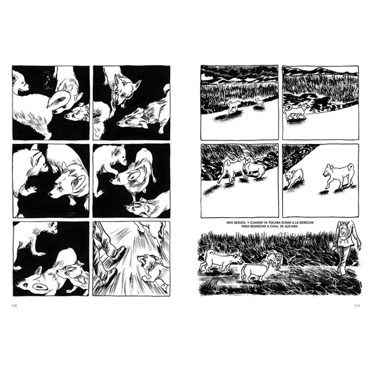 Perros (Capa mole) 4