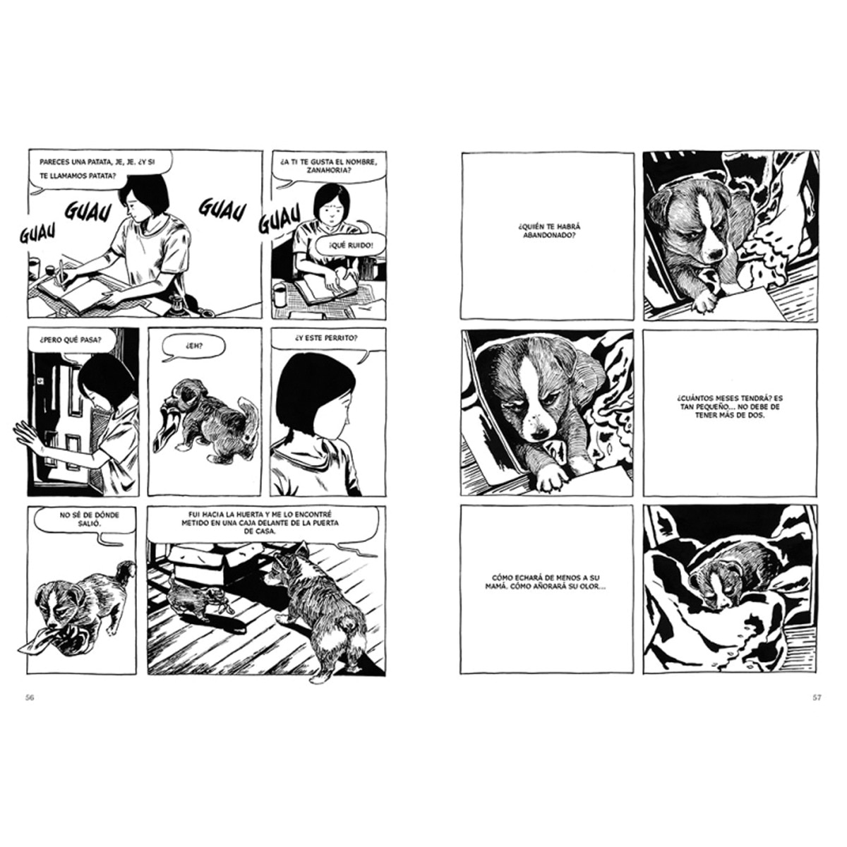 Perros (Capa mole) 3