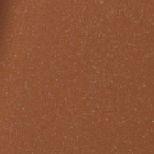 Rich 1