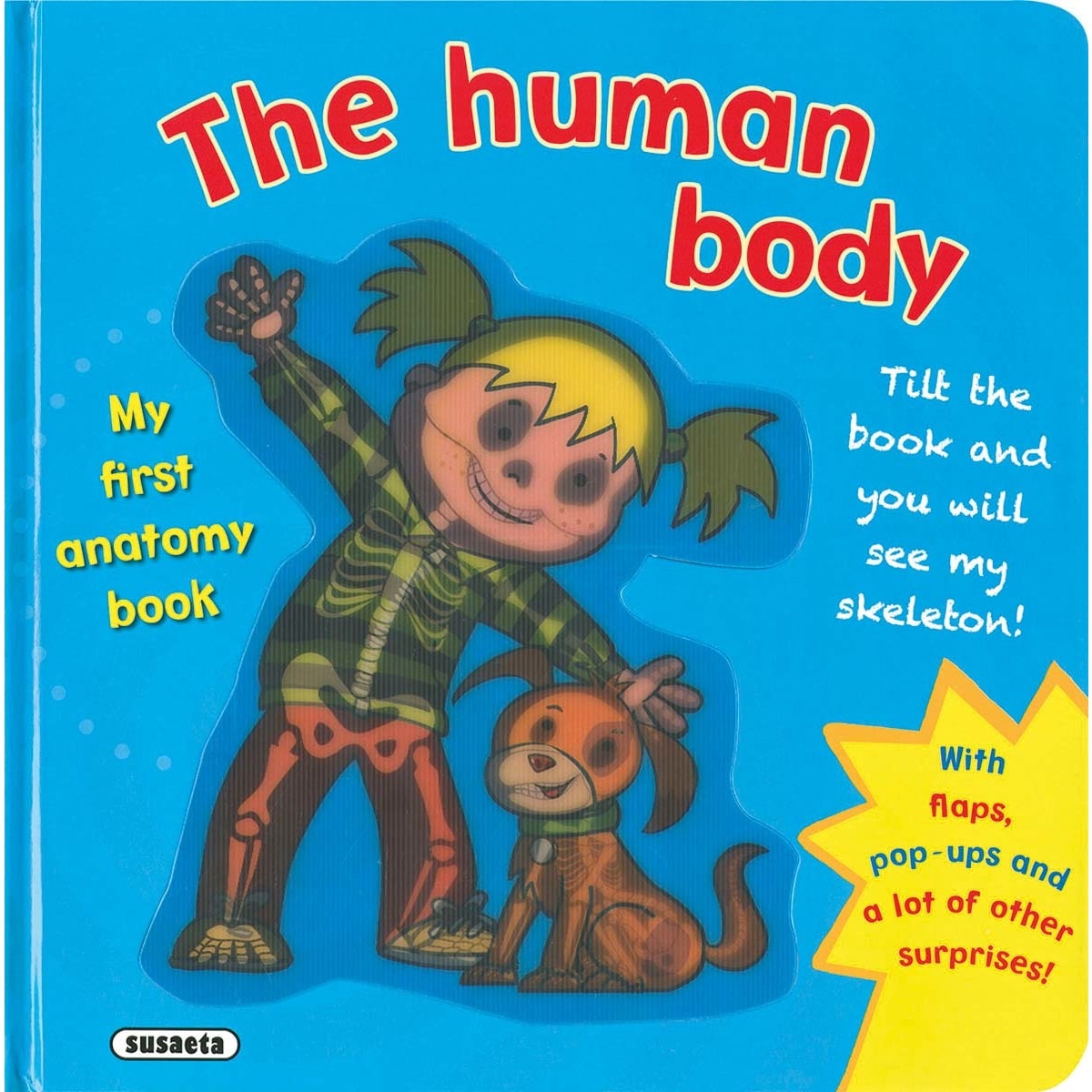 The human body 1