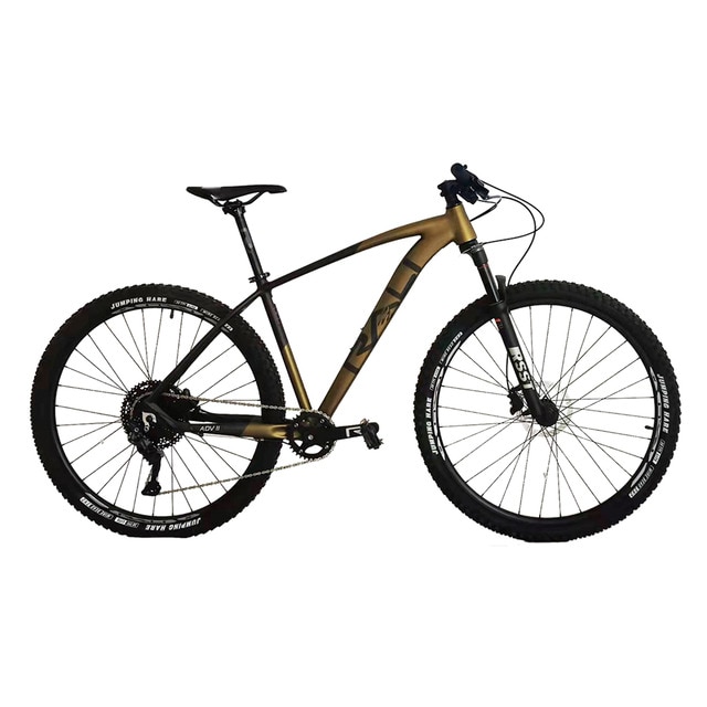 Imagen 0 de Bicicleta de montaña ADVII 29" Rali