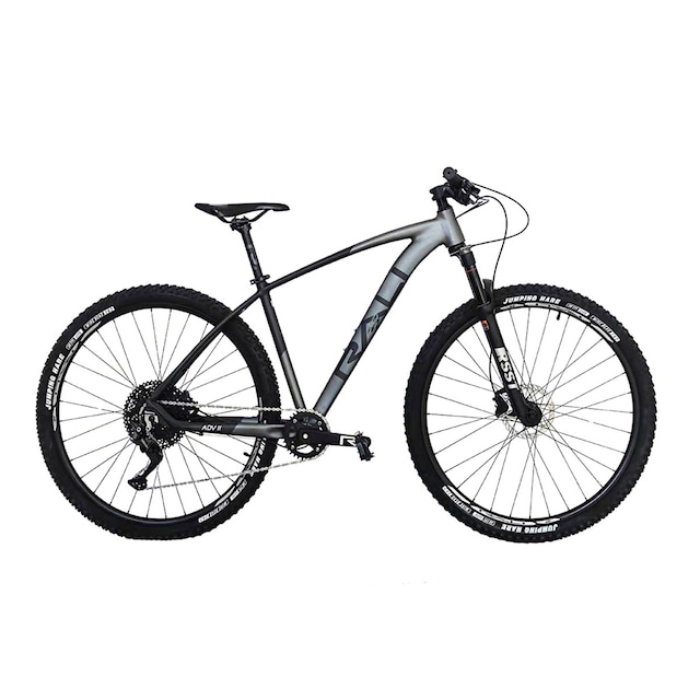Imagen 0 de Bicicleta de montaña ADVII 29" Rali