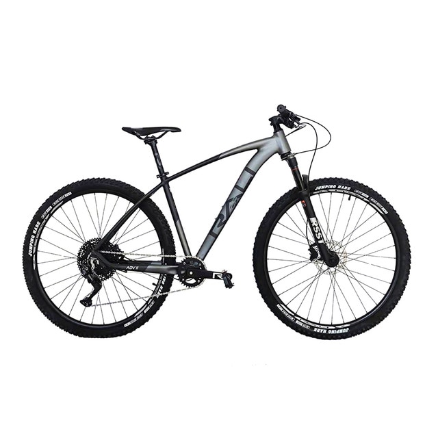 Imagen 0 de Bicicleta de montaña ADVII 29" Rali