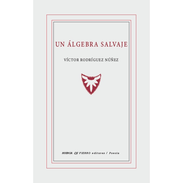 Un álgebra salvaje (Capa mole com abas) 1