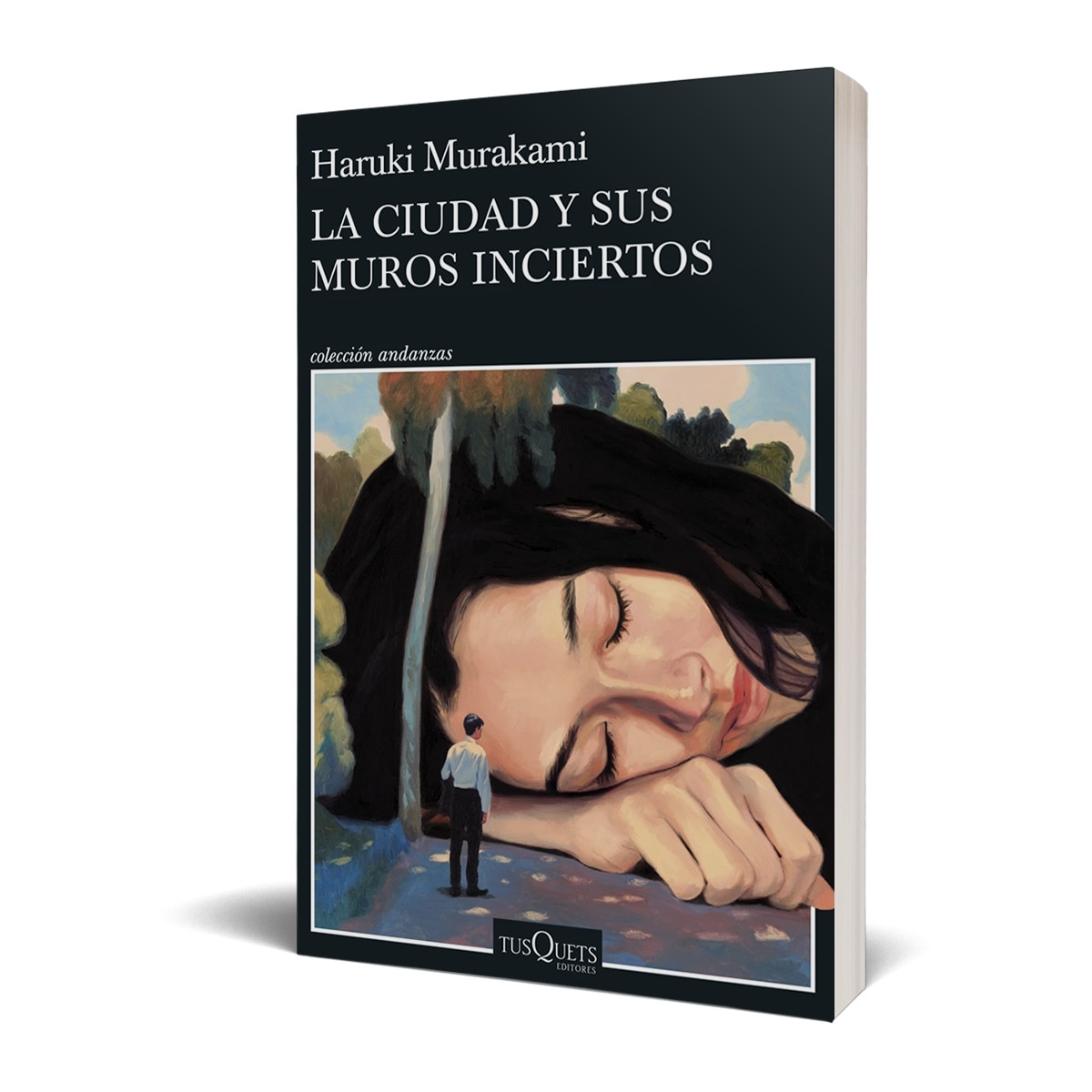La ciudad y sus muros inciertos (Capa mole com abas) 3