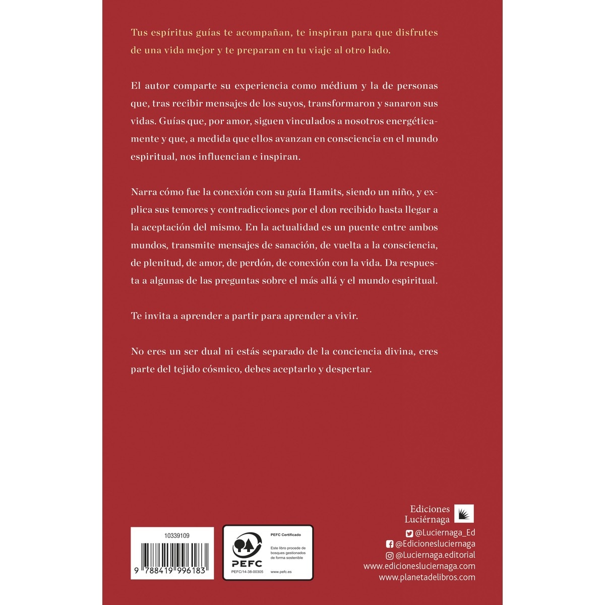 Hamits y el Intérprete (Capa mole com abas) 2