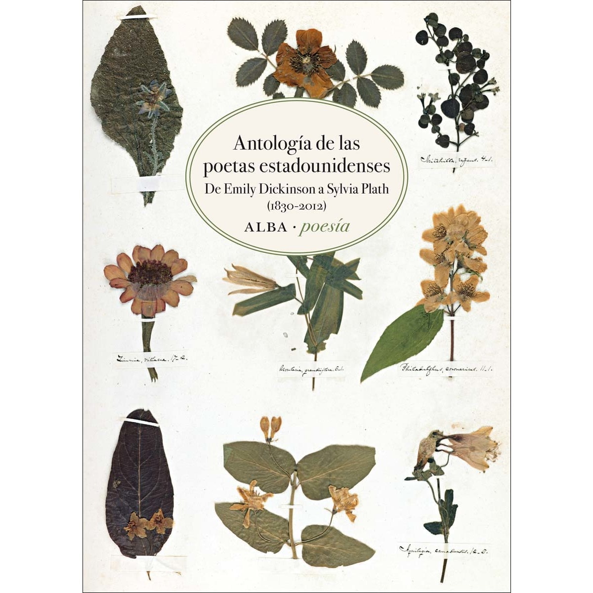 Imagem 0 de Antología de las poetas estadounidenses: De Emily Dickinson a Sylvia Plath (1830-2012) (Capa mole com abas)