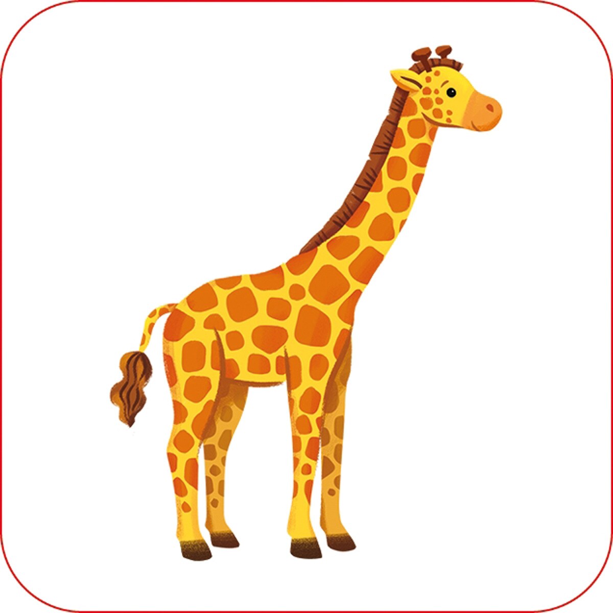 En un zoo 8