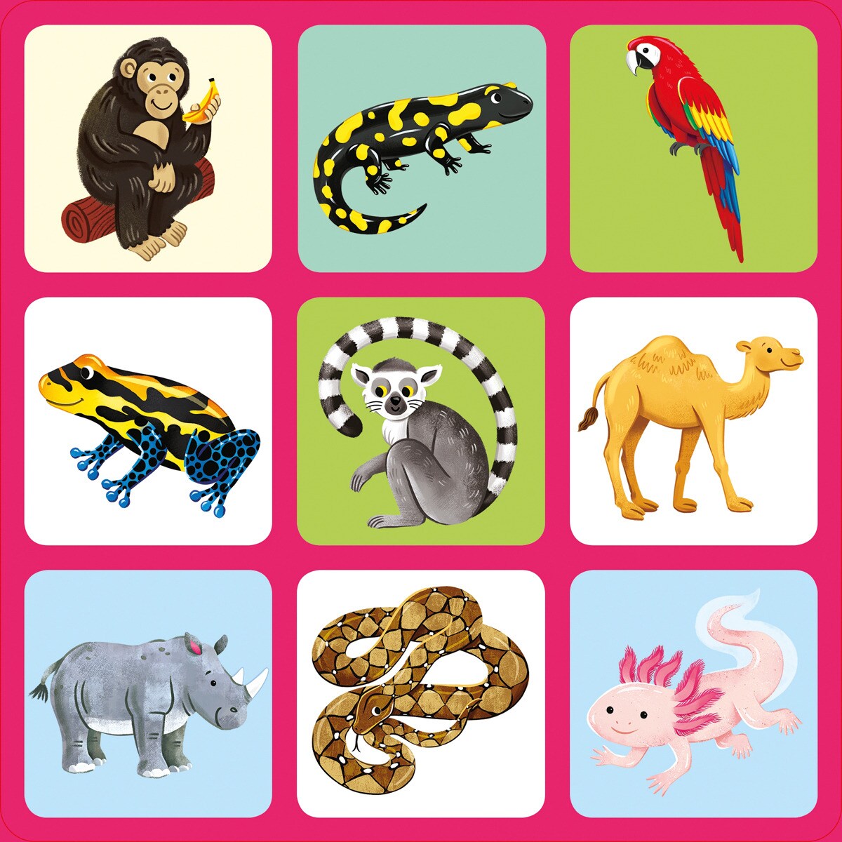 En un zoo 6