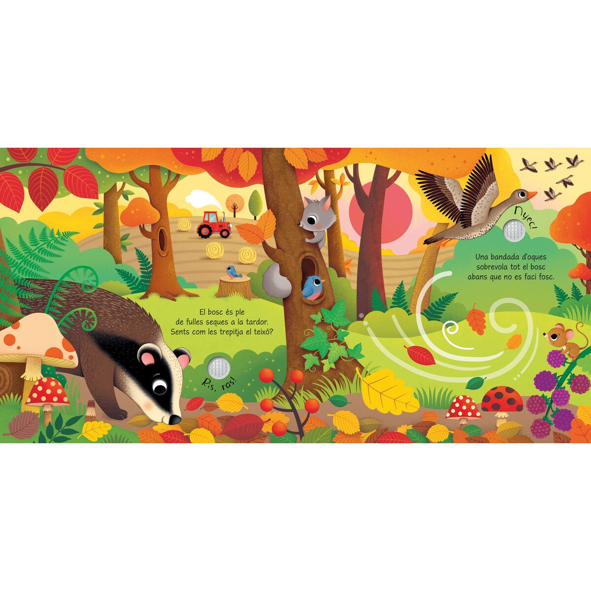 Els sons de les estacions 3