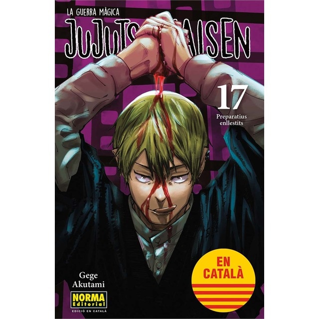 Imagen 0 de JUJUTSU KAISEN 17 CATALA