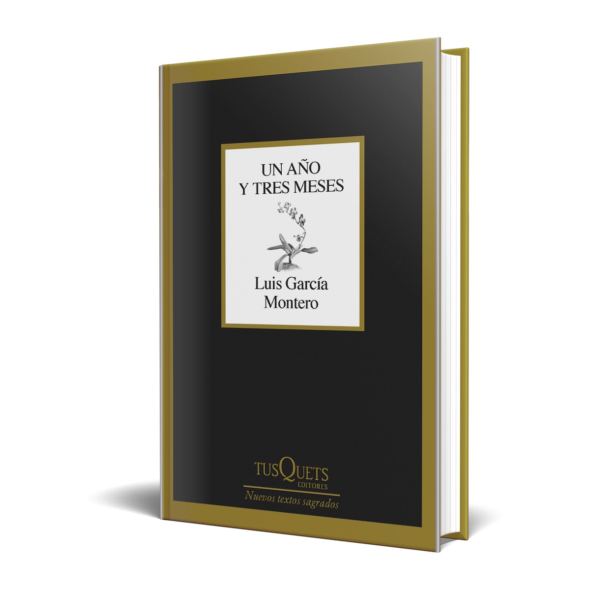 Un año y tres meses (Tapa dura) 3
