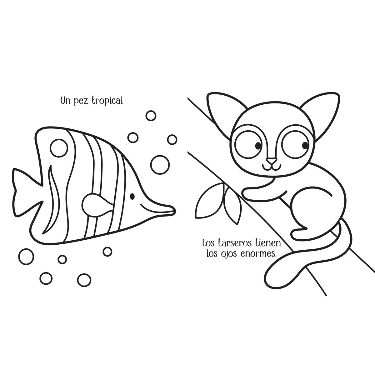 Animales (Capa mole) 4