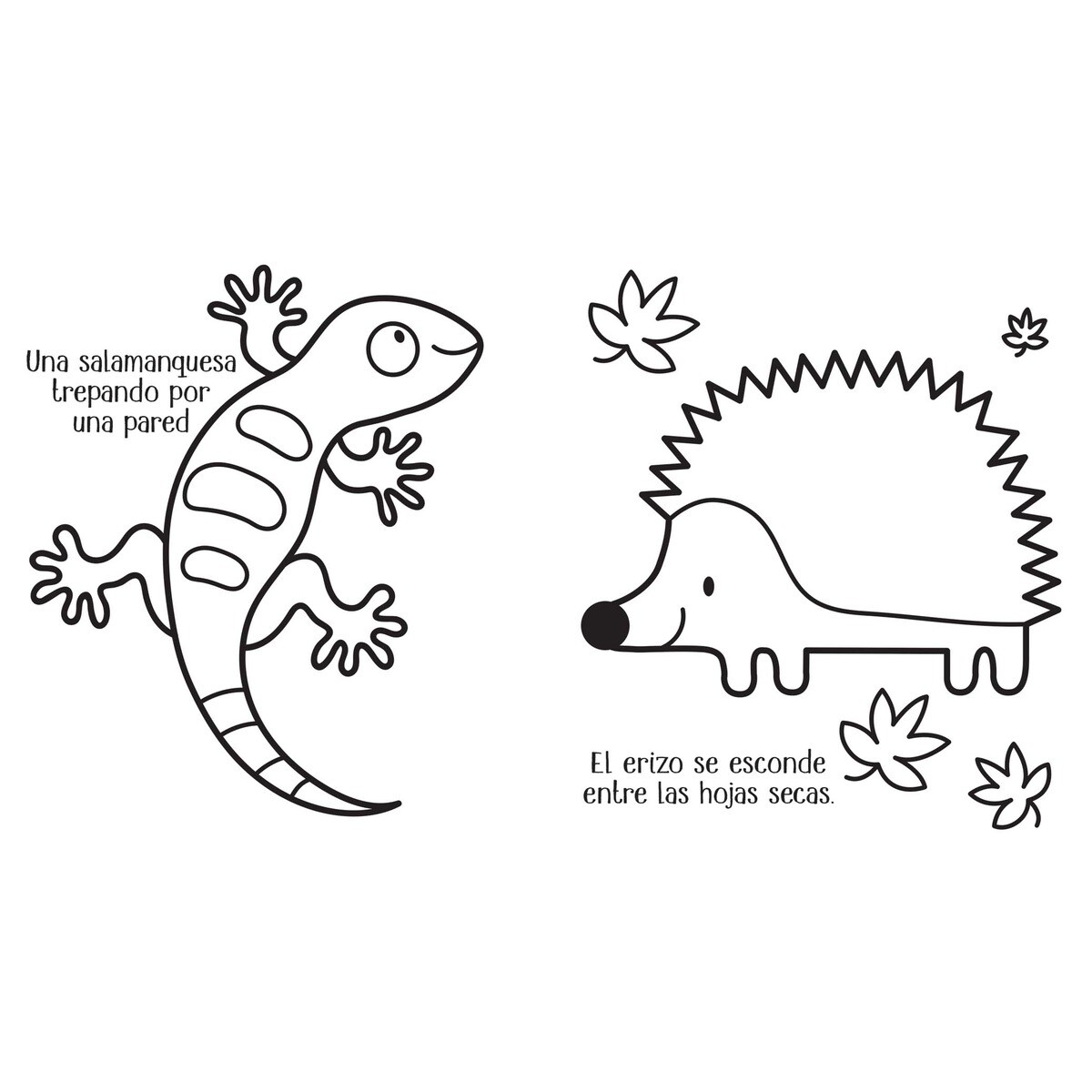 Animales (Capa mole) 3