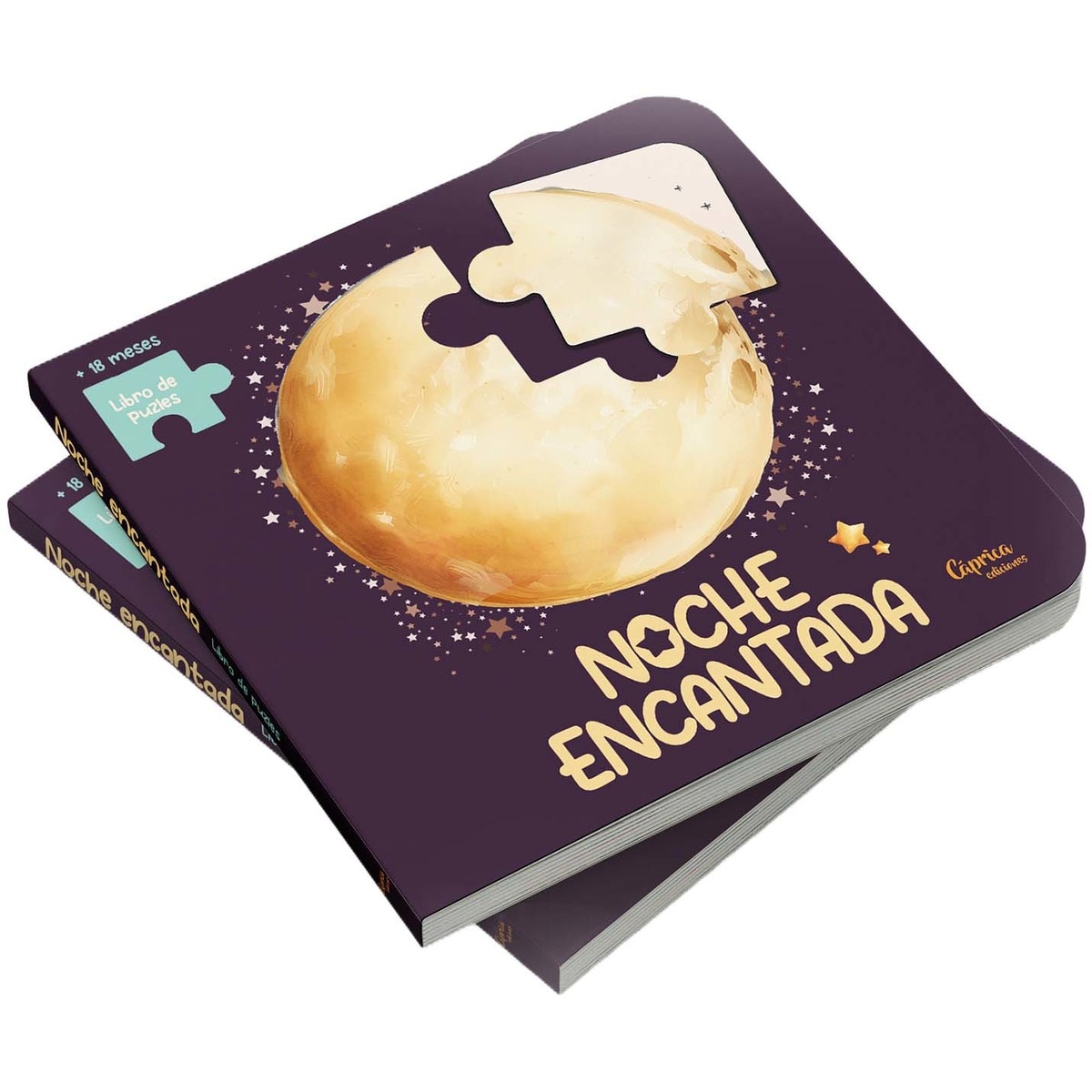 Imagem 0 de Noche encantada: Libro puzle (Capa dura)