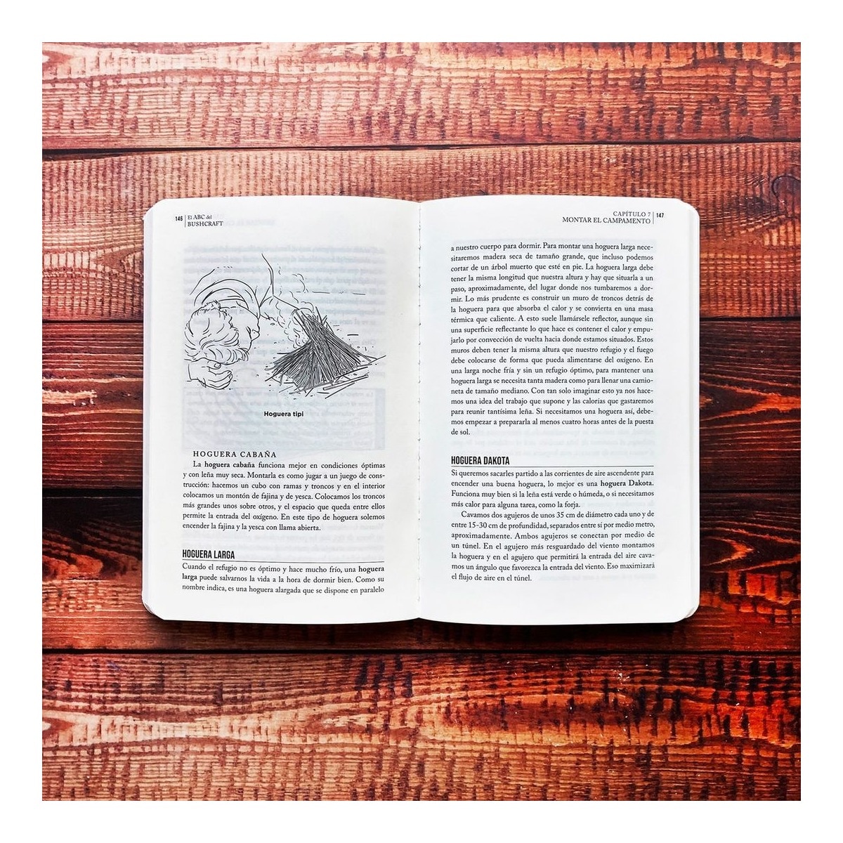 El ABC del bushcraft: Una guía de campo para sobrevivir en la naturaleza  (Tapa blanda con solapas) 2