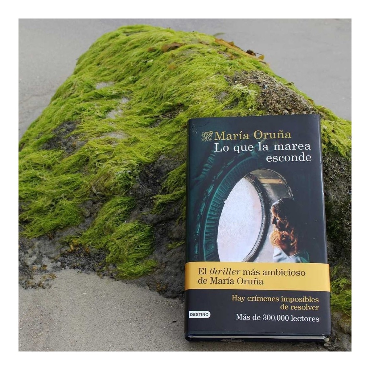 Lo que la marea esconde: Los libros del Puerto Escondido 4  (Bolsillo) (Tapa blanda) 3