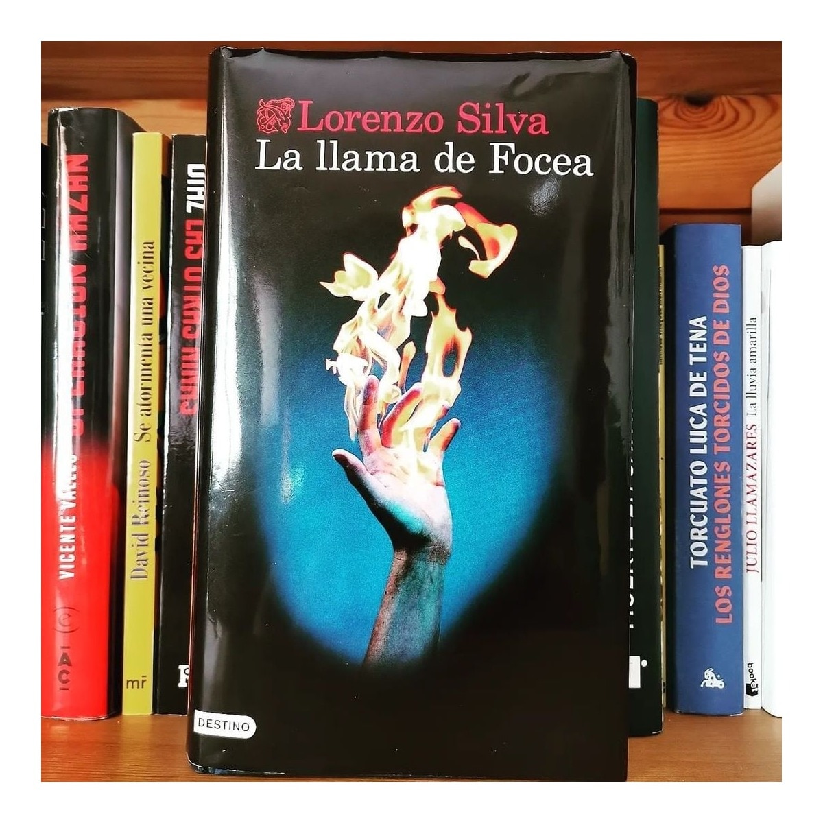 La llama de Focea: Serie Bevilacqua y Chamorro  (Bolsillo) 6