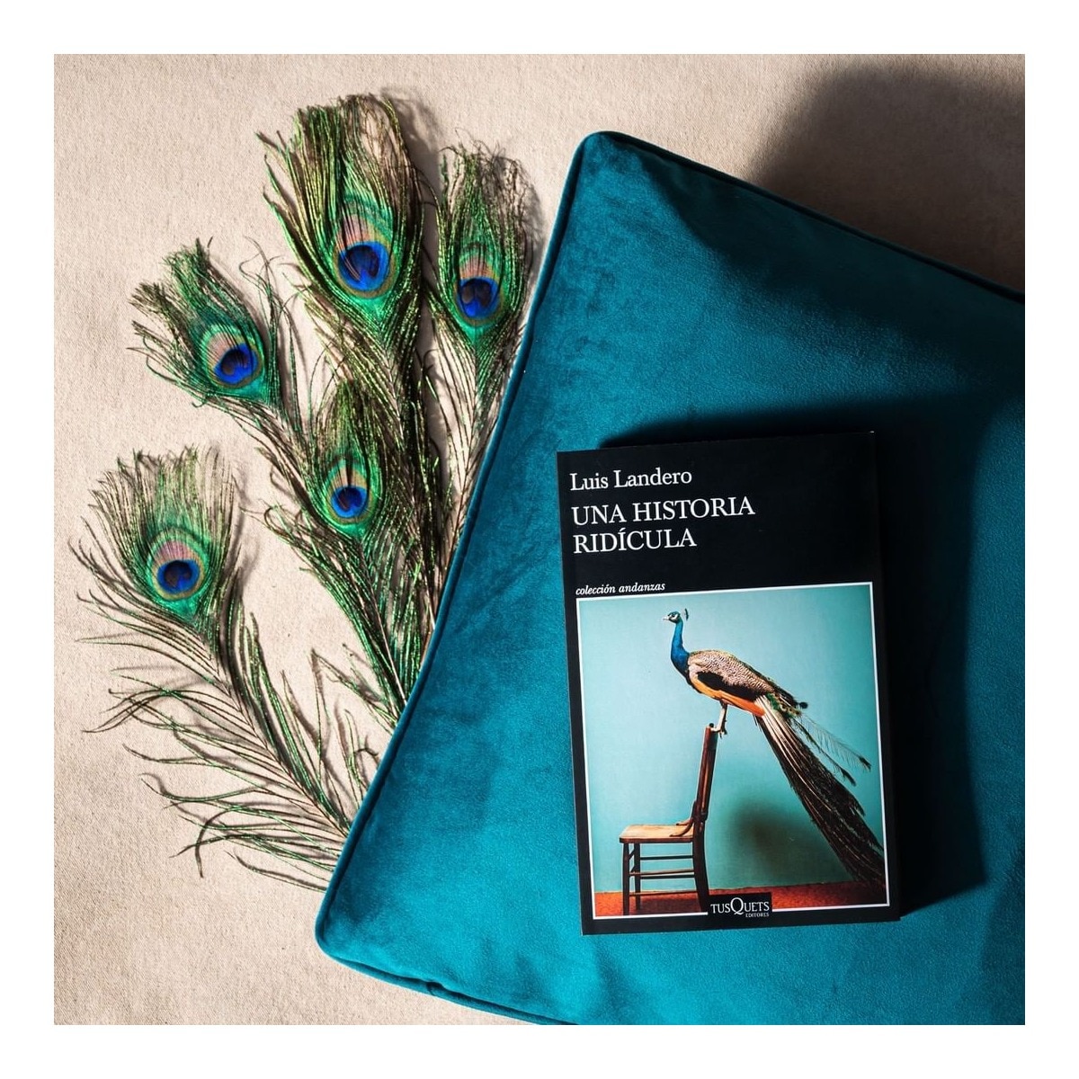 Una historia ridícula (Bolso) 2