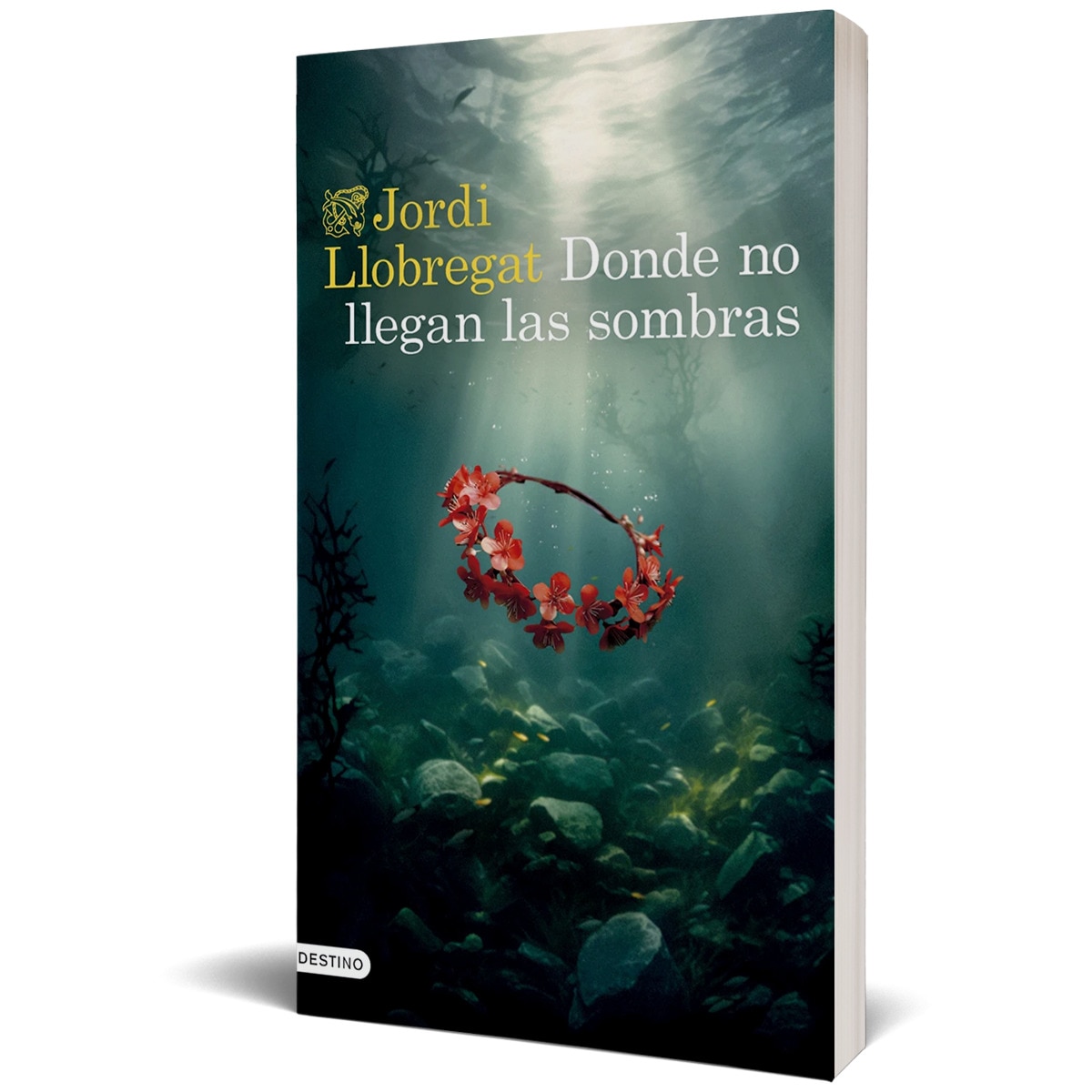 Donde no llegan las sombras (Capa mole com abas) 2
